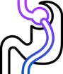 Cirurgia Bariátrica
