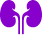 Doença renal crônica